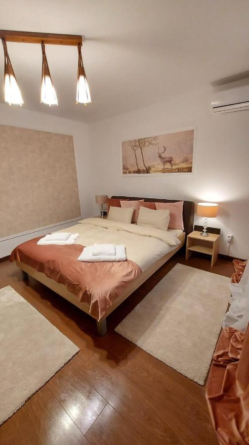 Hotel Ambiennt à Bucarest Extérieur photo